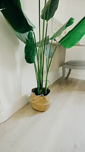 ALPA - Innovación y sostenibilidad en construcción